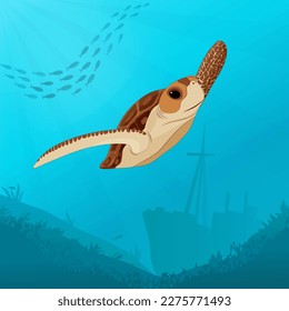 Turtle in the water against the silhouette of a sunken ship