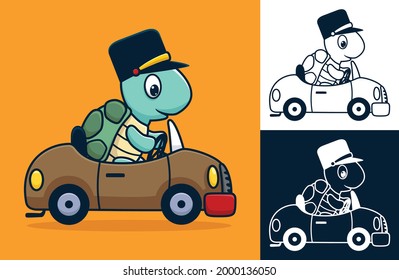 Turtle wearing hat on car. Vector cartoon illustration in flat icon style
