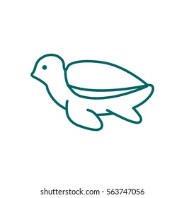 Turtle web line icon.