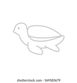 Turtle web line icon.