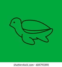 Turtle web line icon.