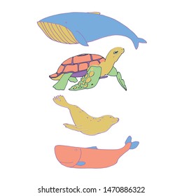 Turtle, whale and sea lion. Marine life flat vector hand drawn illustration