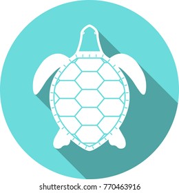 turtle white silhouette vector icon