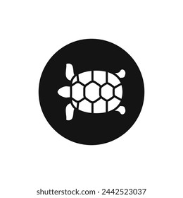 Turtle wild animal vector icon