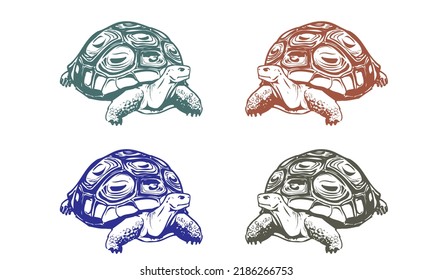 Ilustración de vectores animales salvajes de tortuga

