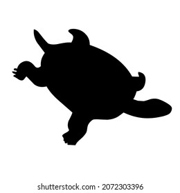 tortuga de animales salvajes de vida agua
