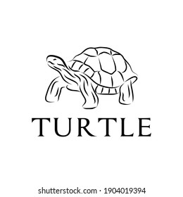 turtle wildlife animals logo design vector illustration