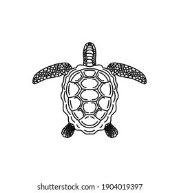 turtle wildlife animals logo design vector illustration