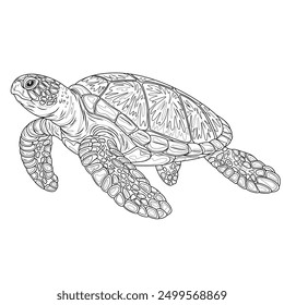 Turtle.Coloring book antistress for children and adults. Illustration isolated on white background. Hand draw