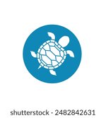 Turtles are animals belonging to the reptile group.