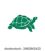 Turtles are animals belonging to the reptile group.