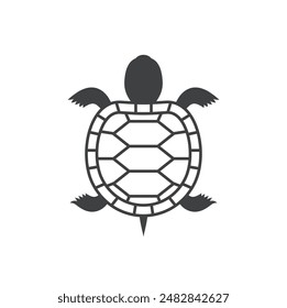 Turtles are animals belonging to the reptile group.