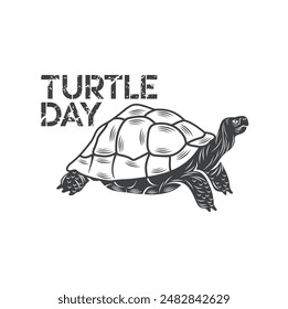 Turtles are animals belonging to the reptile group.