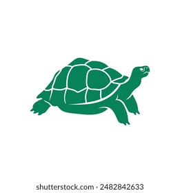 Turtles are animals belonging to the reptile group.