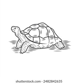 Turtles are animals belonging to the reptile group.