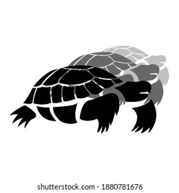 Turtles black and gray on a white background, sign for design, vector illustration