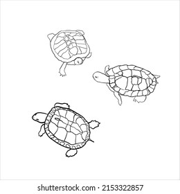 Turtles linear hand-drawing, contour vector illustration isolated on white background. Doodle of turtle