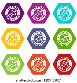 Turtles marine life icons 9 set coloful isolated on white for web