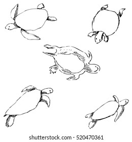 Turtles. Pencil sketch by hand
