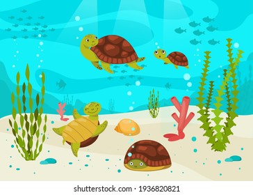 Turtles swimming underwater among seaweeds, corals and fishes. Cute animals in water in nature. Flat vector illustration. Tortoises mascots concept