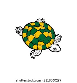 turtles that have green and yellow shells are facing to the right. simple illustration.