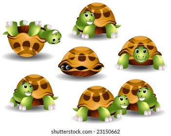 Turtles - Vector