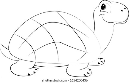 turtle.sketch on a white background