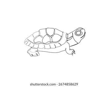 Turtoise in single outline illustration. Continuous line art drawing of big turtle. Editable stroke.