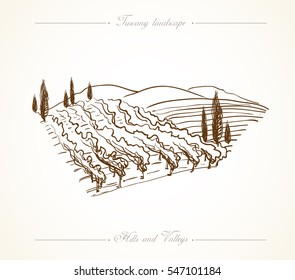 Tuscany landscape with fields, hills. Hand drawn vineyard or olives gardens rural landscape. Travel sketch old farm house. For farmer brochure travel, label. Vector illustration stock vector.