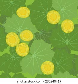 Tussilago farfara seamless background