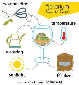 Tutorial how to care florarium. Succulents inside glass terrarium, elements for care florarium: deadheading, watering, temperature, fertilizer, sunlight. Vector illustration