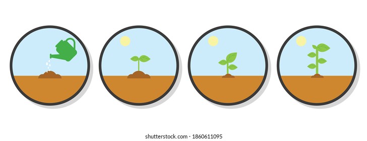 Tutorial how to growing plant vector. Go green concept. Circle icon.