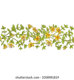 tutsan branch vector pattern