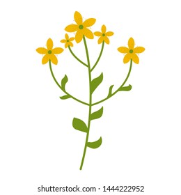 Tutsan flower flat icon, wild flowers, plant vector illustration isolated on white background