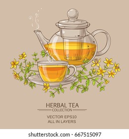 tutsan tea vector illustration