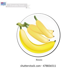 Tuvalu  Fruit, Illustration of Golden Banana. One of The Most Popular Fruits in Tuvalu.