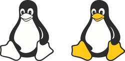 Tux penguin character logo official mascot of the Linux kernel 