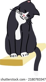 Tuxedo Cat curious Animal in action Hand drawn color illustration