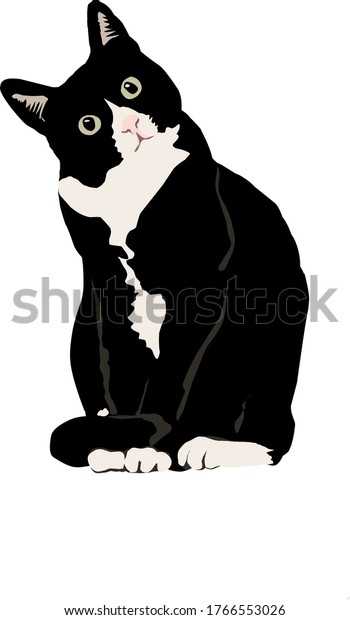 Tuxedo cat an emblem