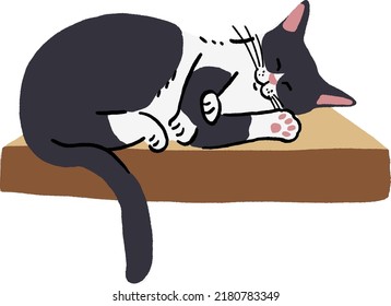 Tuxedo Cat sleep Animal in action Hand drawn color illustration