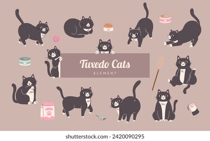 Tuxedo Cats in Various Poses with Pet Accessories Set. Flat Style Vector Illustration