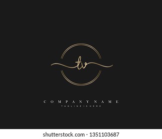 TV initial handwriting logo template vector