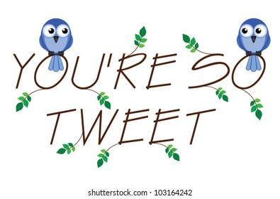 So Tweet twig text with two lovesick birds