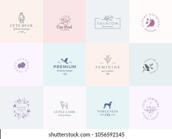 Twelve Abstract Feminine Vector Signs or Logo Templates Set. Retro Floral Illustration with Classy Typography, Birds, Lamb, Duck, Hound and Elephant. Premium Quality Emblems. Isolated