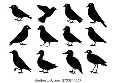 Doze silhuetas de pássaros negros em várias poses de pássaros