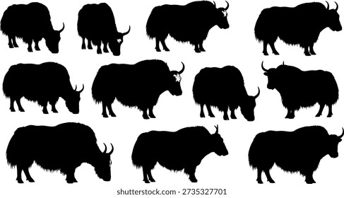 Twelve black silhouettes of yaks in different stances and profiles on a white background