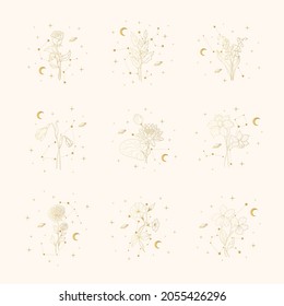 Twelve celestial birth month golden flowers. Vector isolated set with spiritual plants, moon and stars for wedding invitations and  gift cards.