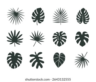 Doze silhuetas de folha tropical verde escuro conjunto ilustração botânica fundo branco
