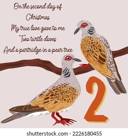 The twelve days of Christmas. Second day. Two turtle doves. Christmas concept.