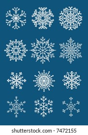 Twelve different isolated white snowflakes on dark background (vector)